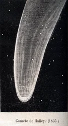 Cometa di Halley 1835 - incisione intorno al 1867