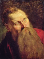 Testa di un Santo