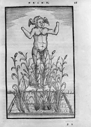 Uomo senza braccia - in "De Transmutatione Metallica Sogni Tre" di Giovanni Battista Nazari, edito a Brescia nel 1599