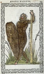 Uomo selvaggio - in "Habits et effigies" di Jean Sluperius