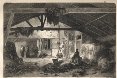 Alloggio di un mercante di stracci in rue de la Montagne Sainte Genevieve a Parigi nel 5° arrondissement. Incisione del 1861