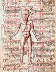 Corpo umano. Incisione dal «Tractatus de pestilentia», XV secolo - Praga, Biblioteca nazionale