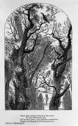 Illustrazione per "Ode a un usignolo" del poeta John Keats (1795-1821) XIX secolo
