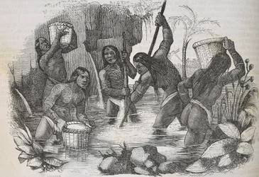 Indiani dell