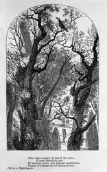 John Keats: Ode a un usignolo