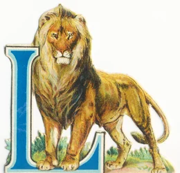 L: Leone