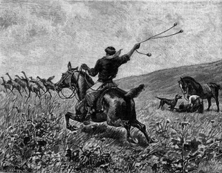 Lasso: caccia al casuario con il lasso a palline. Incisione in "Le Journal de la jeunesse"