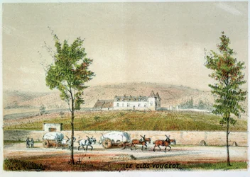 Le clos Vougeot, vigneto della Côte d