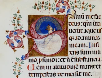 Lettrine S: Davide nella Luce Profonda - Antifonario del XV secolo. Biblioteca Comunale di Rimini