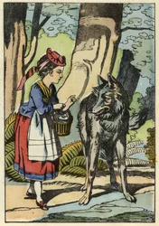 Cappuccetto Rosso incontra il lupo nella foresta. Illustrazione del racconto "Cappuccetto Rosso" di Charles Perrault