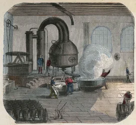 Fabbricazione dello zucchero in una fabbrica. Illustrazione del XIX secolo. Collezione Bianchetti