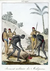 Giuramento militare degli abitanti del Madagascar (macellazione di un bue) - incisione, 1811
