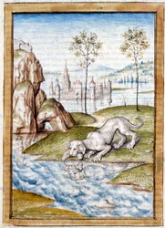 Animali in miniatura da una traduzione tedesca delle favole di Kalila e Dimna di Bidpai