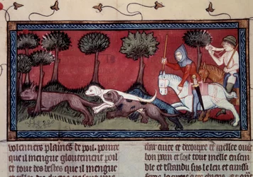 Caccia alla volpe miniata dal manoscritto fr. 1297 libro di Re Modus e Regina Ratio