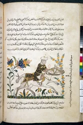 Nihāyat al-suʾal wa-al-umnīyah fī taʿlīm al-furūsīyah