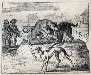 Antico proverbio inglese: due cani si contendono un osso e il terzo lo porta via