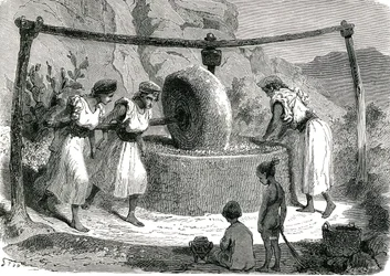 Mulino per macinare olive in Algeria 1885