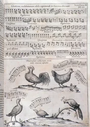 Pagina da Musurgia (1650)