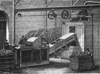Fabbricazione della carta nel XIX secolo