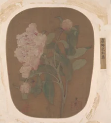 Fiore di peonia e foglie (foglia d