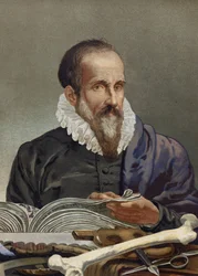 Ritratto di Ambroise Paré (1509-1590), chirurgo francese. da “La Ciencia y sus Hombres” di Louis Figuier. Barcellona 1881