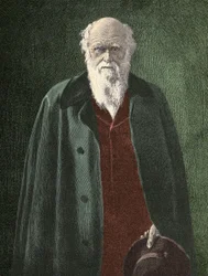 Ritratto di Charles Darwin (1809 - 1882)
