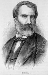 Ritratto di Eugene Pelletan (1813-1884), giornalista, scrittore e politico francese