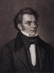 Ritratto di Franz Schubert (incisione)