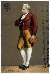 Ritratto di Goethe. Disegno sd. XIX secolo. Ritratto di Goethe in piedi. Disegno sd. XIX secolo