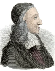 Ritratto di Johan de Witt (Jean de Witt) (1625-1672) politico, economista e matematico olandese