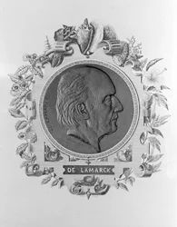 Ritratto di Lamarck (1744-1829)