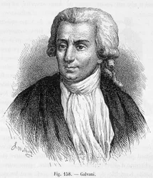 Ritratto di Luigi Galvani, medico e fisico italiano (1737 - 1798) - in "Magnetismo ed Elettricità" di Amédée Guillemin