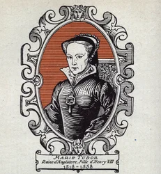 Ritratto di Maria Tudor (1516-1558) regina d