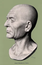 Ritratto di Scipione l