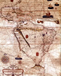Portolano rappresentante il Sud America appartenente a Bartolomeo Velho. 1561