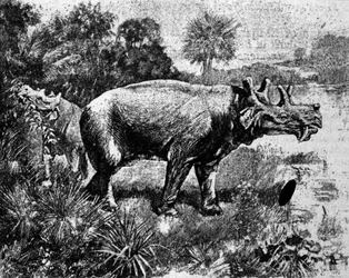 Preistoria: rappresentazione di un Uintatherium a quattro corna