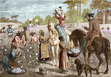 Cotone riciclato da una casa nel sud degli Stati Uniti nel 1864