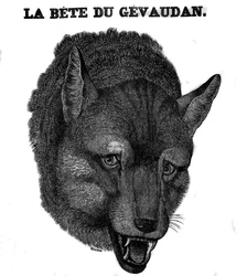 Rappresentazione della Bestia del Gévaudan