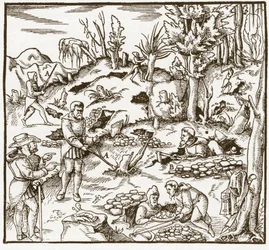 Rabdomanzia - Esplorazione di un campo minerario usando la bacchetta divinatoria - Gli uomini tagliano e usano bacchette divinatorie per localizzare i minerali - Da "De re metallica" di Georgius Agricola (Georg Bauer), Basilea