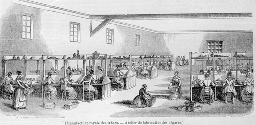 Real Fabbrica di Tabacco: laboratorio di produzione di sigari. Incisione del XIX secolo.
