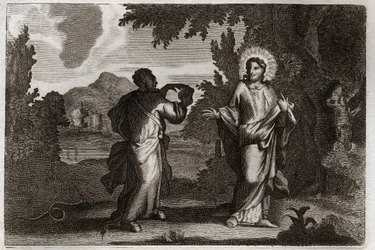 Bibbia di Royaumont, Nuovo Testamento: Gesù Cristo nel deserto. Gesù è condotto nel deserto. Digiuna quaranta giorni e quaranta notti. È tentato dal demonio che lo invita a trasformare le pietre in pane. Illustrazione del 1811