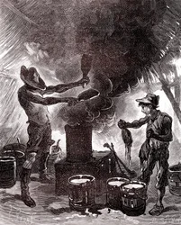Preparazione della gomma o vulcanizzazione nella foresta brasiliana