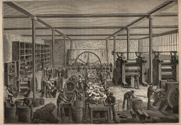 Gomma: fabbrica di gomma. Incisione del 1885 in 