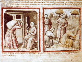 Ruth e Noemi (Naomi, Noemie) che lavorano nei campi di Boaz (Booz) Miniatura dal codice 212 (o codice padovano o Bibbia di Padova) 1390-1400 Rovigo, Accademia dei Concordi