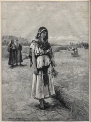 Ruth che lavora nel campo di Boaz - incisione dal dipinto di Druch-hajos