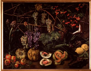 Natura morta con uva e zucche