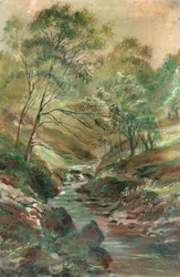 Ruscello attraverso un bosco