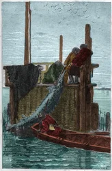 Pesca dello storione nel fiume Volga. (Storione) (Acipenser sturio)
