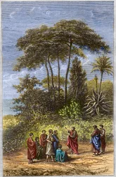 La scuola di Pitagora - Pitagora tra i suoi allievi a Crotone - incisione del 1879