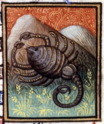 Lo Scorpione. Miniatura di un oroscopo. Manoscritto del XV secolo. Bibl. Trivulziana, Milano